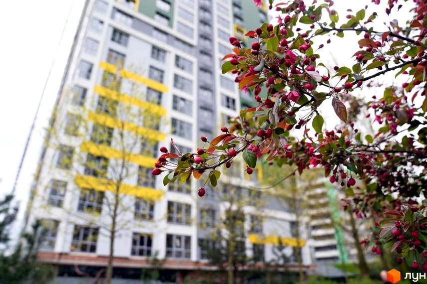 Багатоповерховий житловий будинок Житловий комплекс Паркове місто з сіро-білим фасадом та жовтими смугами. На передньому плані гілки дерева з червоними ягодами.