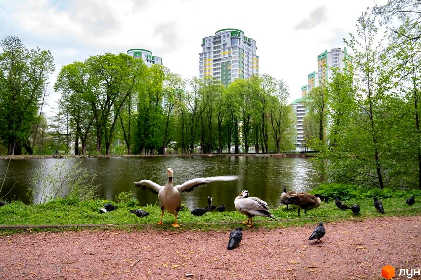 Житловий комплекс Паркове місто з висотними будинками світлого кольору та зеленими акцентами на фасадах. На передньому плані озеро, оточене зеленими деревами та птахами.