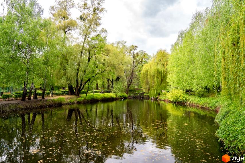 Зелений парк зі ставком та високими деревами, що відображаються у воді, біля Житлового комплексу Паркове місто.