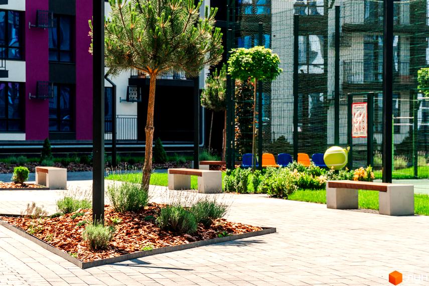 Вигляд на територію Житлового комплексу Family Plaza з деревами, лавками та дитячим майданчиком. Фасад будинку з вікнами.