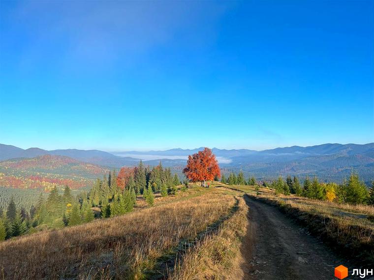 Комплекс відпочинку УЛІС - мальовничий краєвид гір восени, з дорогою, що веде до комплексу. Навколо зелені та червоні дерева, чисте блакитне небо.