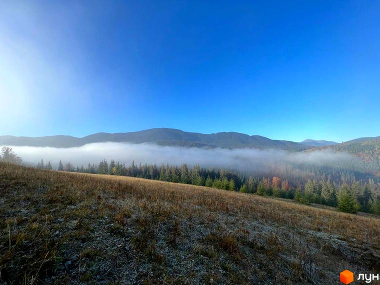 Комплекс відпочинку УЛІС у Карпатах з туманом над лісом та гірським пейзажем. На передньому плані — покритий інеєм схил.
