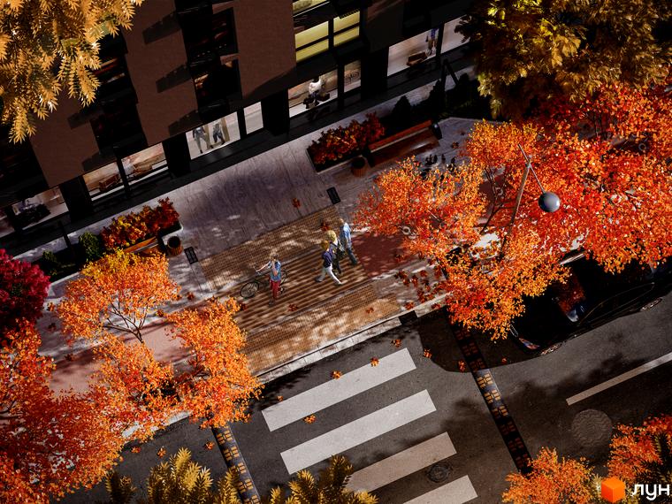 Вид зверху на Новобудову Paradise Avenue восени. На території дерева з помаранчевим листям, пішохідний перехід та тротуар.