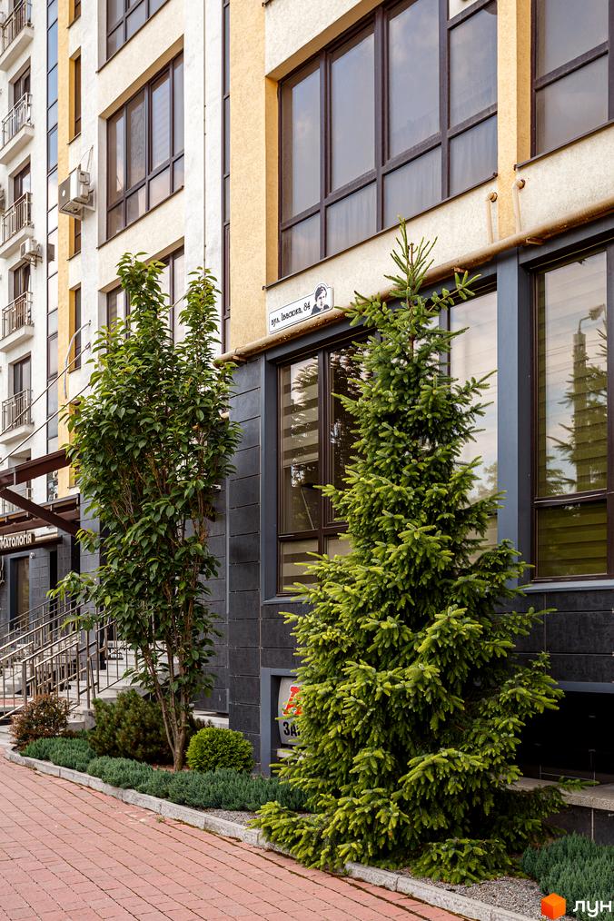 Житловий комплекс Lystopad: фасад будівлі з великими вікнами та зелені насадження біля будинку. Зелена ялинка та дерева перед входом.