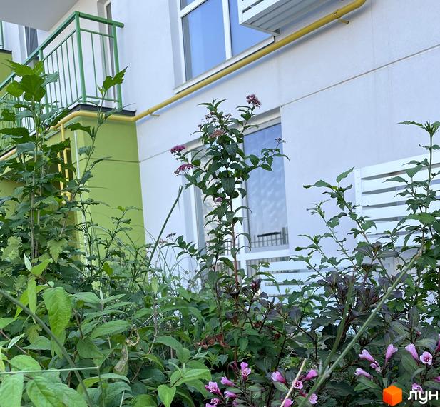 Зелені насадження біля фасаду новобудови ЖК Art Misto. Зовнішній вигляд будівельного проєкту з вікнами та балконами.