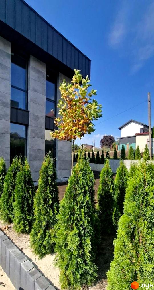 Зображення дуплексу Zubra House з сірим фасадом та великими вікнами. На території висаджені туї та декоративне дерево.