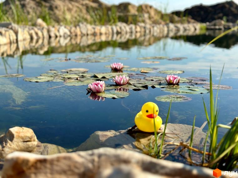 Котеджне містечко КМ Gardd House Eco Village з мальовничим ставком та водними ліліями. На березі стоїть іграшковий жовтий каченя.