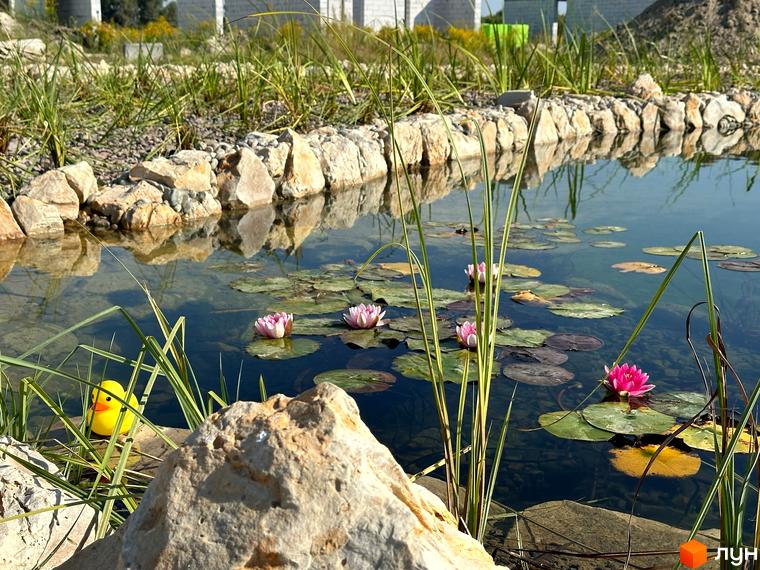 Територія Котеджного містечка Gardd House Eco Village з водоймою, рожевим лататтям та зеленими насадженнями, поруч з будівлями.