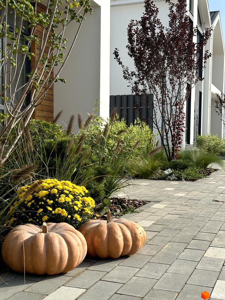 Котеджне містечко KМ Gardd House Eco Village з фасадами білого кольору та сірою бруківкою. Поруч висаджені декоративні дерева та жовті хризантеми, а перед будинком лежать два гарбузи.