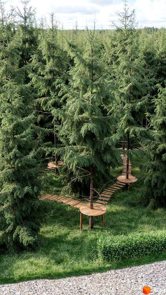 Прибудинкова територія Guta Nova: ліс з високими деревами, дерев'яні платформи та підвісні містки для відпочинку. Зелені насадження та газон.