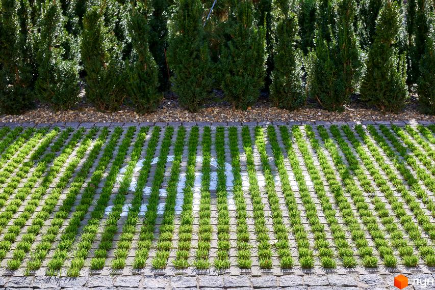 Зелена екопарковка з газоном та білою розміткою паркувальних місць, що є частиною прибудинкової території Будинку на Вавилових.