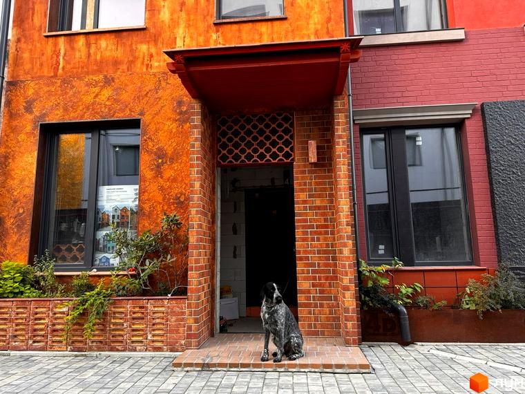 Зовнішній вигляд будинку житлового комплексу КМ KADENIUK homes з цегляним фасадом та вікнами. Поруч сидить собака на бруківці.