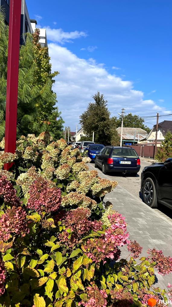 Зображення фасаду будинку житлового комплексу по провулку Гнатюка, 11. На передньому плані квіти, на задньому - автомобілі на вулиці.