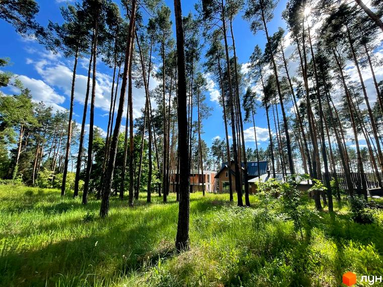 Котеджне містечко Swisstown. Будинки серед високих сосен на зеленій ділянці з травою. Сонячний день з блакитним небом та хмарами.