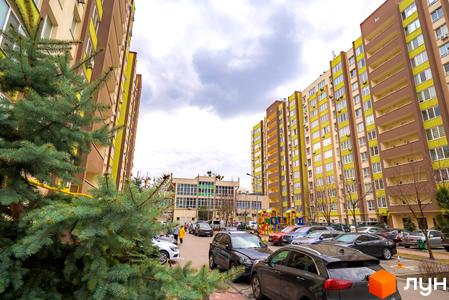 Затвордан жалған порно фотосуреттер